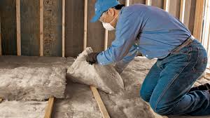 Best Eco-Friendly or Green Insulation Solutions  in Waynesboro, GA