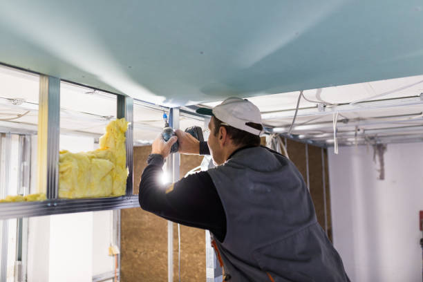 Best Basement Insulation  in Waynesboro, GA