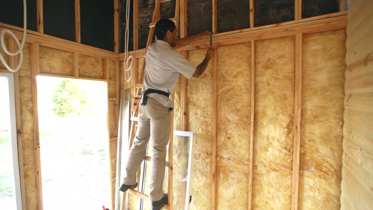 Best Batt and Roll Insulation  in Waynesboro, GA